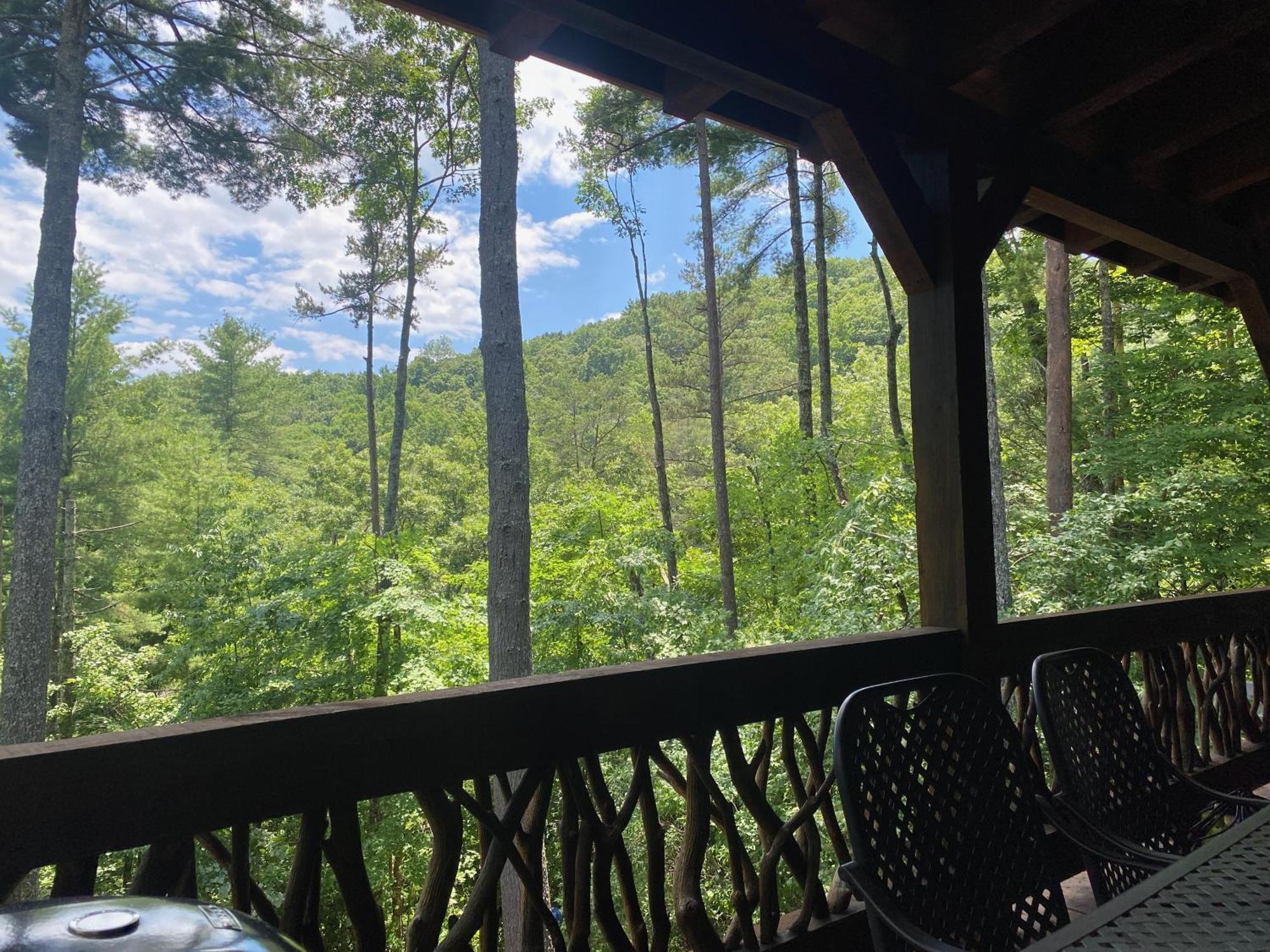 The Cozy Lazy Laurel With Year-Round Mountain Views, Hot Tub, Fire Pit Villa Cherry Log Luaran gambar